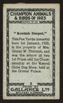 Kentish despot.