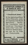 Charnwood Jewel 26th.