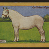 Qualamite.