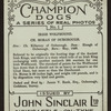 Ch. Moran of Ouborough.