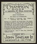 Ch. Moran of Ouborough.
