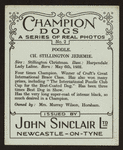 Ch. Stillington Jeremie.