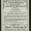 Ch. Stewton Spec.
