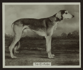 Index