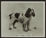Silver Templa of Wale.