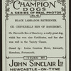 Ch. Cheverells Ben of Banchory.