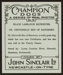 Ch. Cheverells Ben of Banchory.
