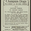 Ch. Malgen Caesar.