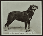 Int. Cha. Rozavel Vefa von Kohlerwald. Zpr.