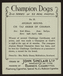 Ch. Taj Akbar of Chaman.