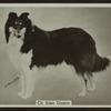 Ch. Eden Diadem.