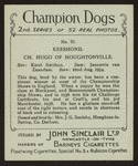 Ch. Hugo of Houghtonville.