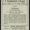 Ch. Kensknight.