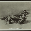 Ch. Captain of of Armadale.