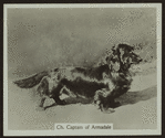 Ch. Captain of of Armadale.