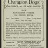 Ch. Prince Rufus.