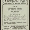 Ch. Henham Spratty.