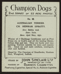Ch. Henham Spratty.