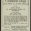 Ch. Portlairge Steady of Wendover.