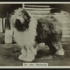 Sir John Marksman.