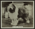 Sir John Marksman.