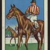 Seminole.
