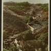 Petit Bot Valley, Guernsey.