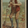 Andrew Fairservice.