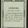 Cocksure, Book of Snobs.
