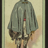 Dobbin, Vanity Fair.