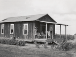 Allen Plantation operated by Natchitoches Farmstead Association, a cooperative established through the cooperation of F. S. A. , Louisiana, August 1940.