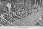 Negro children weaving cloth; Recently photographed in Kamerun, the last of the German province in Africa to surrender to the Allies; Illustrating child labor at the lowest possible cost.