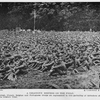 A religious meeting on the field; American, British, French, Belgian and Portuguese troops are represented in this gathering of defenders of Liberty listening  to a sermon on the western front.