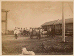 Street in Rikovsk (140).