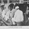 A modern sanitary dairy; Agricultural students receiving their training in milking at the dairy farm of Hampton Institute.