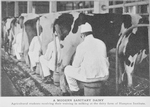 A modern sanitary dairy; Agricultural students receiving their training in milking at the dairy farm of Hampton Institute.