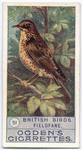 Fieldfare.