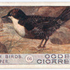 Dipper.
