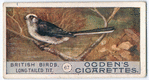 Long-tailed tit.