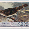 Sedge warbler.
