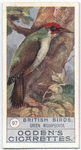 Green woodpecker.
