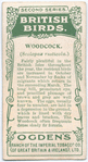 Woodcock.