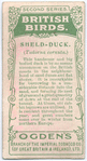 Sheld-duck.