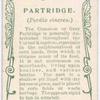 Partridge.