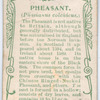 Pheasant.