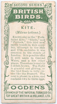 Kite.