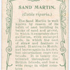 Sand martin.
