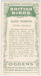 Sand martin.