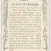 Sedge warbler.