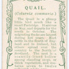 Quail.